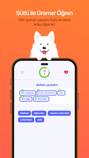 Samolingo Screen 2