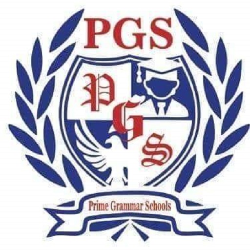 Prime Academy logo