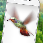 Cover Image of Baixar Bird in Phone Flying Hummingbird joke - iBird 1.0 APK