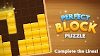 screenshot of Perfect Block Puzzle