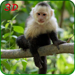 Cover Image of Tải xuống Monkey Simulator 3D 1.3 APK