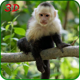 Monkey Simulator 3D icon