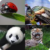 Guess The Zoo Animals 2 icon
