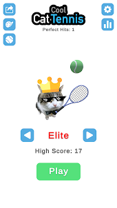 Cool Cat Tennis