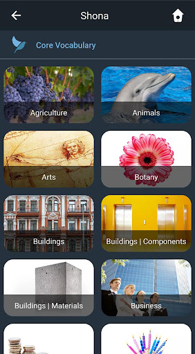 Android application Learn Shona. Speak Shona. Stud screenshort