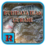Budidaya Ikan Gurame icon