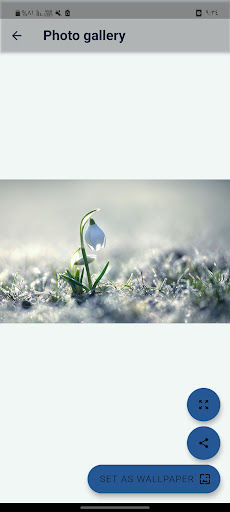 Android application Bing today wallpaper screenshort