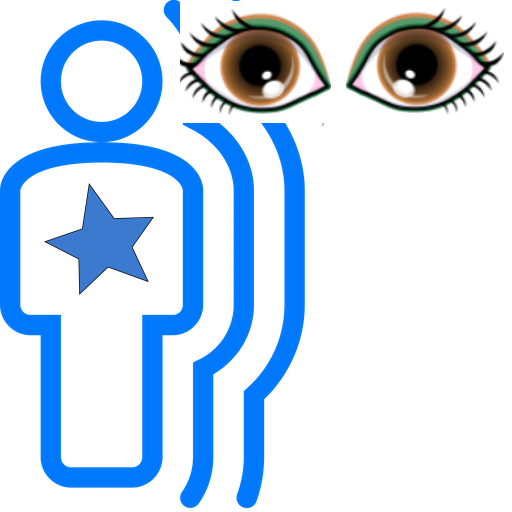 PRO Motion Detector Viewer Download on Windows