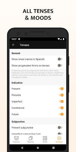 Screenshot of ConjuGato — Spanish Verbs