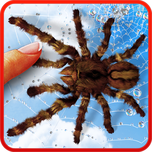 Spider, live wallpaper  Icon