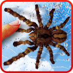 Cover Image of Download Spider, live wallpaper 1.1.0.23 APK