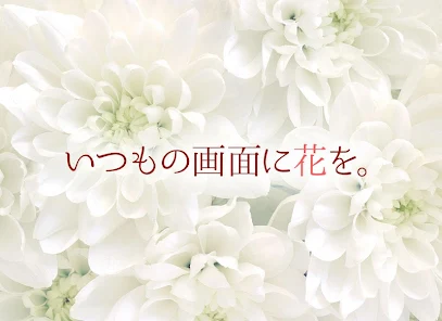 綺麗な花の壁紙きせかえアプリ Google Play のアプリ