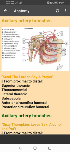 Medical Mnemonic Collection Professional