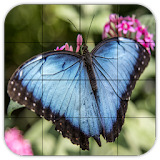Tile Puzzles · Butterflies icon
