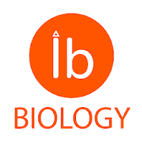 CT In Ib Biology B105