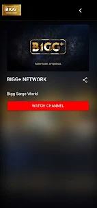 BIGG+ NETWORK
