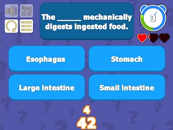 Digestive System Mouth & Stomach - Anatomy