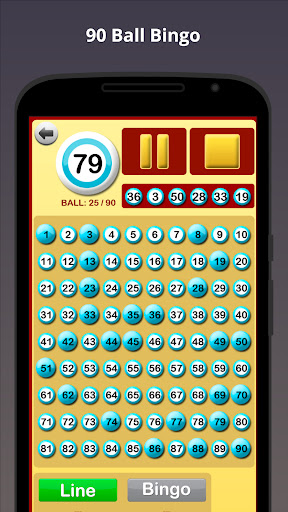 Bingo at Home Screen 2