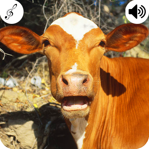 Cow Sound