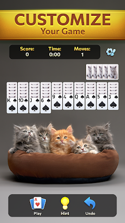 Game screenshot Spider Solitaire Daily Break apk download