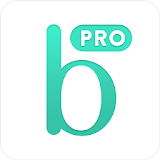 Bridestory Pro (for vendors) icon