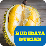 Budidaya Tanaman Durian icon