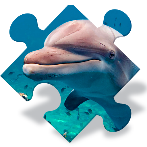 Free Dolphin Jigsaw Puzzles logo