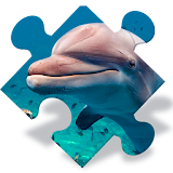Free Dolphin Jigsaw Puzzles icon