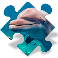 Пазлы дельфины бесплатно