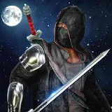 Ninja Master Assassin Hero icon