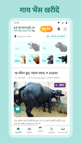 गाय भैंस खरीदें बेचें Animall - Apps on Google Play