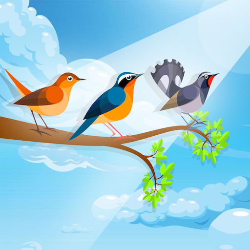 Sort Birds - Puzzle Color 3D Download on Windows