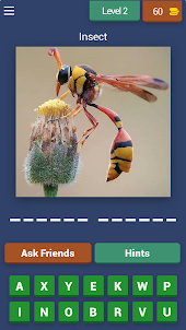Insect Quest: Trivia Challenge