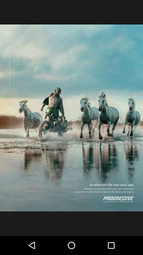 Born To Ride Florida Screen 3