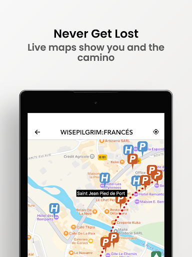Wise Pilgrim All Caminos