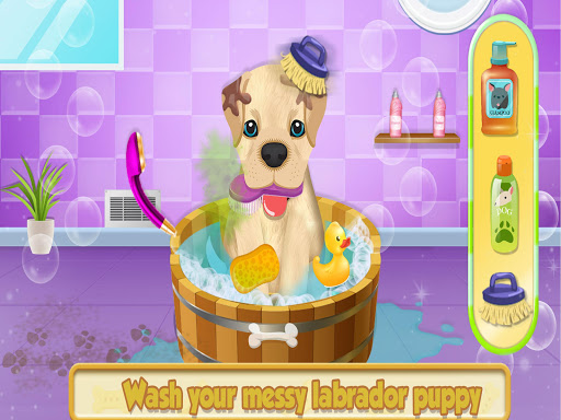 Android application Cute Pet Dog Training Care screenshort