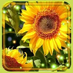 Sunflowers Summer Apk