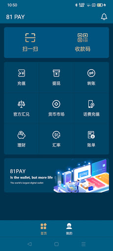 81PAY Screen 2