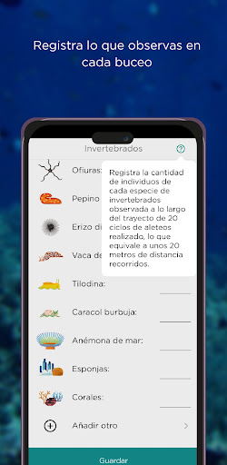 Miralmar Screen 2