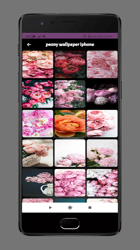 peony wallpaper Screen 2