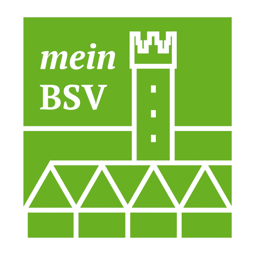 Mein BSV logo