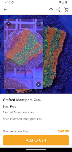 Screenshot of Aquatic Evolution LLC