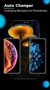 Black Wallpaper HD Background MOD APK (No Ads) 5