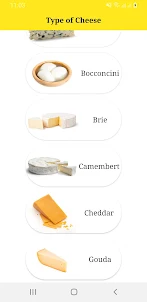 Types of cheese