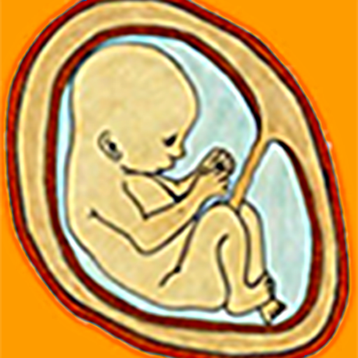 Fetal Kick Count 1.0 Icon