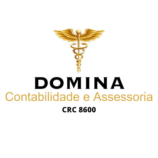 Domina Contabilidade logo