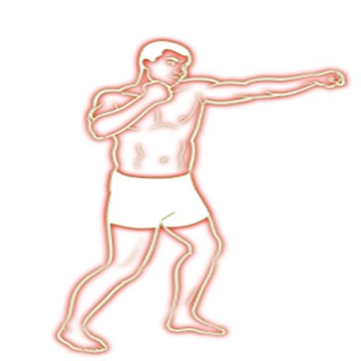 Boxing Combos logo