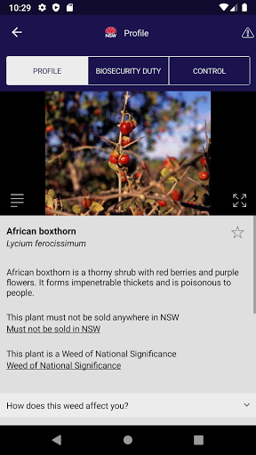 NSW WeedWise Screen 2