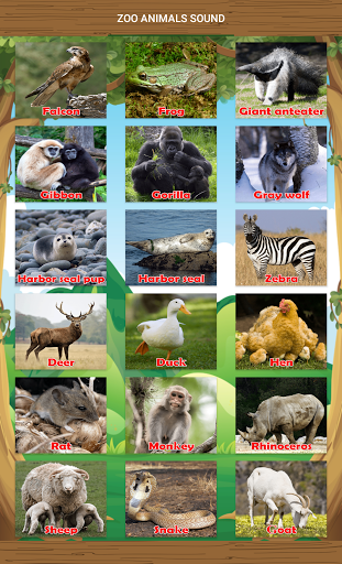 เสียงสัตว์ Zoo Animal Sounds