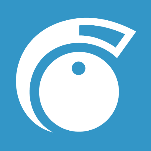 Radio In logo